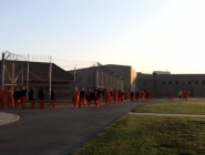 11 Freedom to Choose